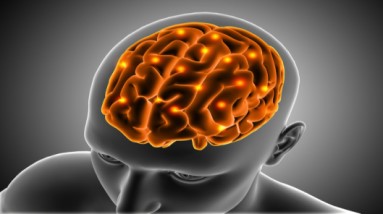 neurocirurgia .4 .jpg